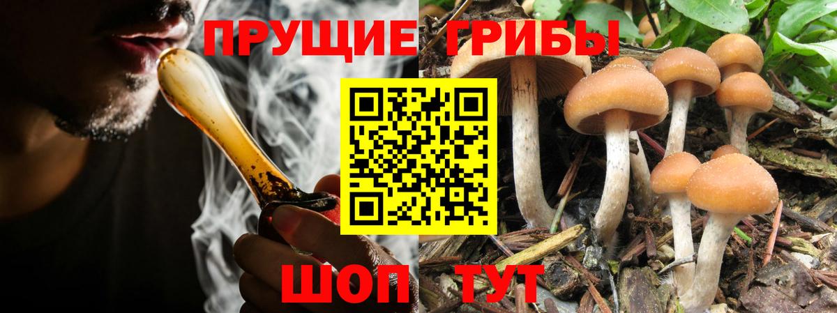Нижний Новгород  Галлюциногенные грибы MAGIC MUSHROOMS  Вход с VPN 